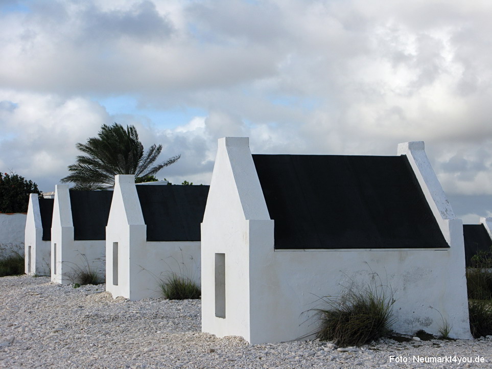 0004 Insel Bonaire 2009